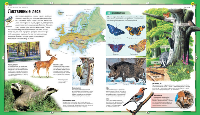 Книга «Атлас животного мира» из серии Animal Planet  
